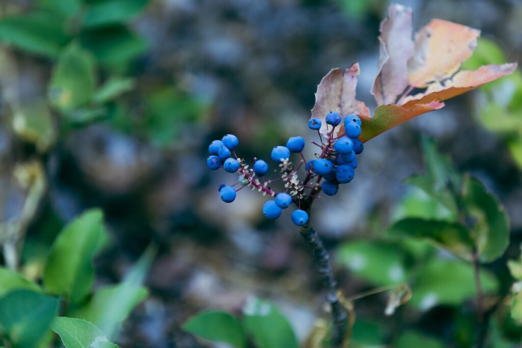 Mountains and Astrophotography b1 1