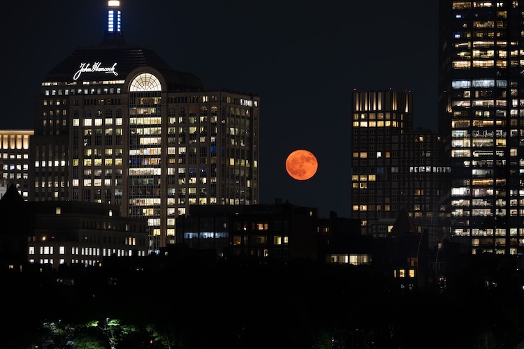 Mountains and Astrophotography cat2