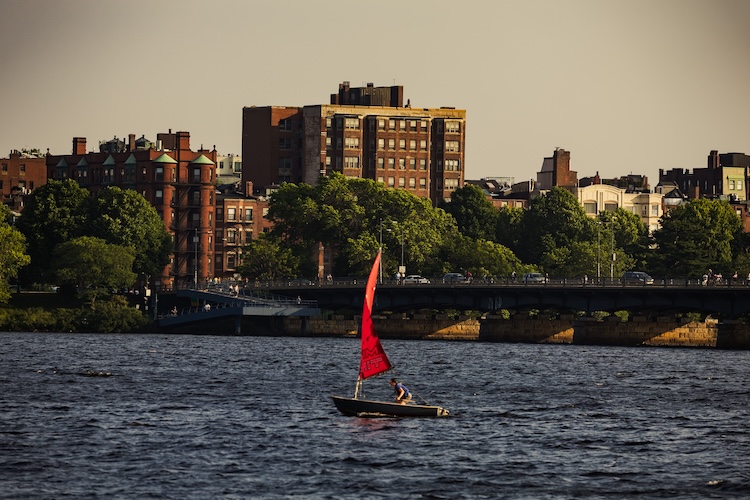 Mountains and Astrophotography cat3