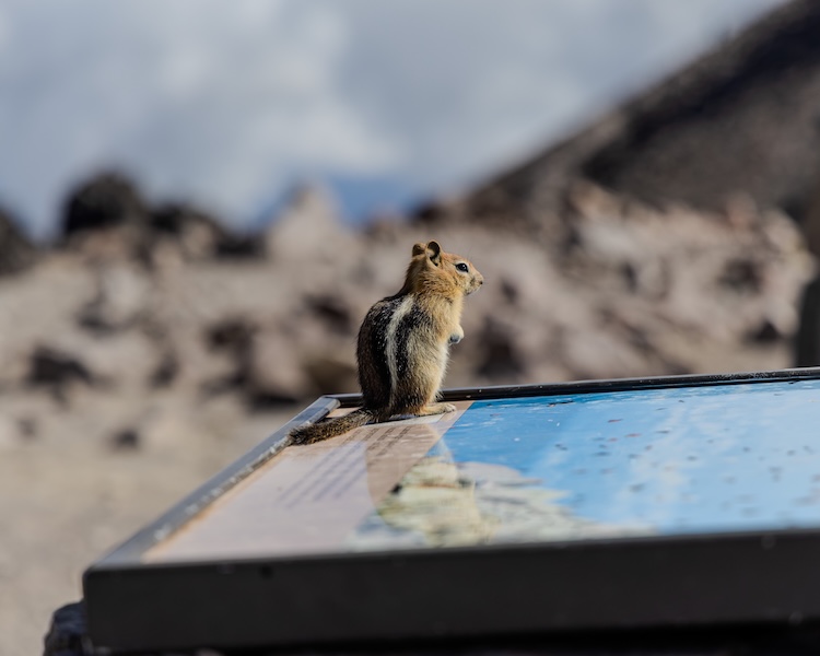 Mountains and Astrophotography l2 2