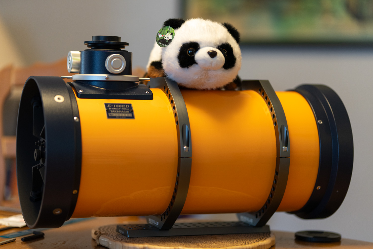 New Newt: Takahashi Epsilon-180ED New Newt: Takahashi Epsilon-180ED