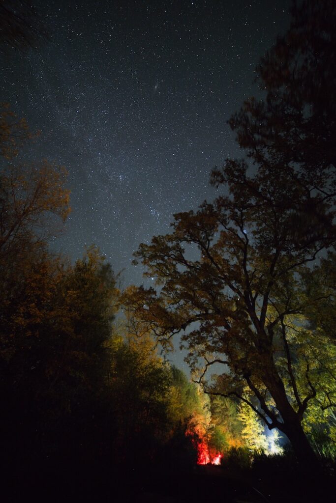 California Dreamin' f3c