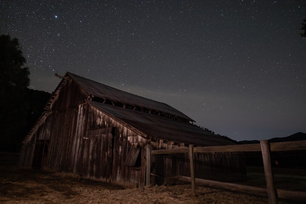 California Dreamin' f4