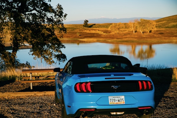 California Dreamin' f5a