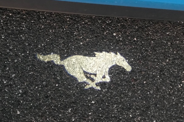 California Dreamin' f5d