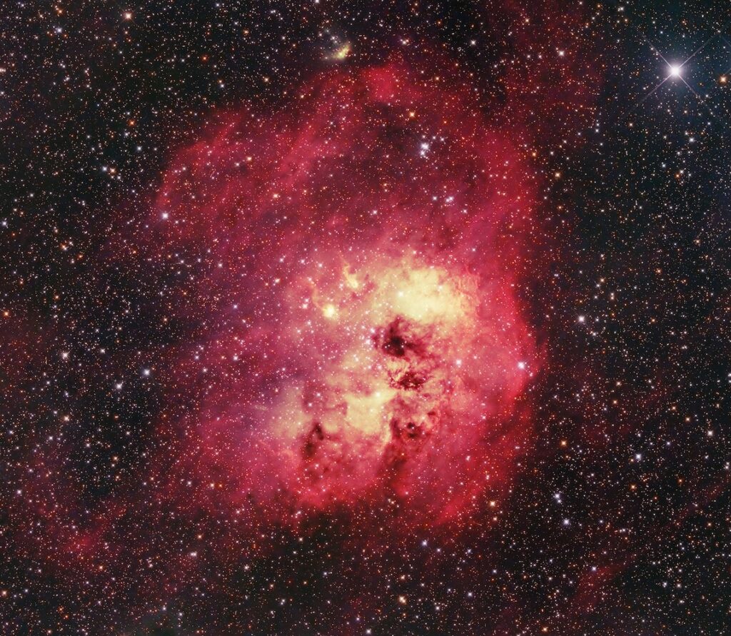 New Newt: Takahashi Epsilon-180ED f6b