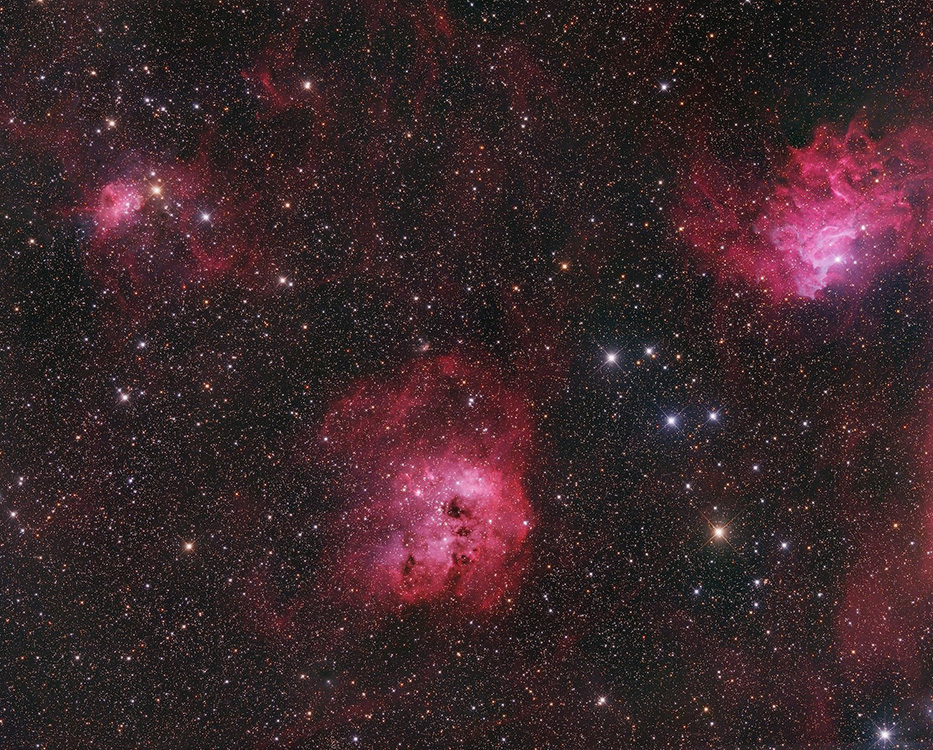 New Newt: Takahashi Epsilon-180ED f7b auriga