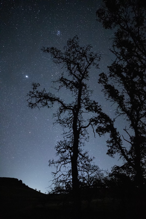 California Dreamin' f7d