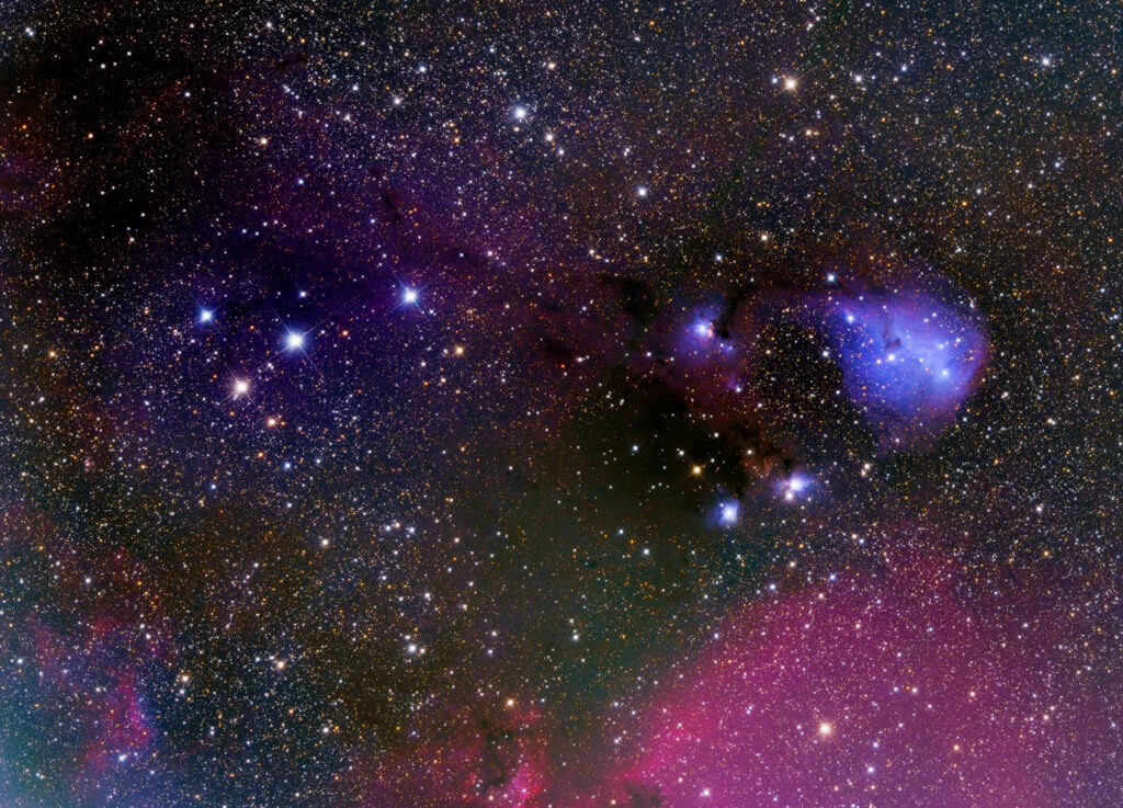 New Newt: Takahashi Epsilon-180ED f8a dreyer