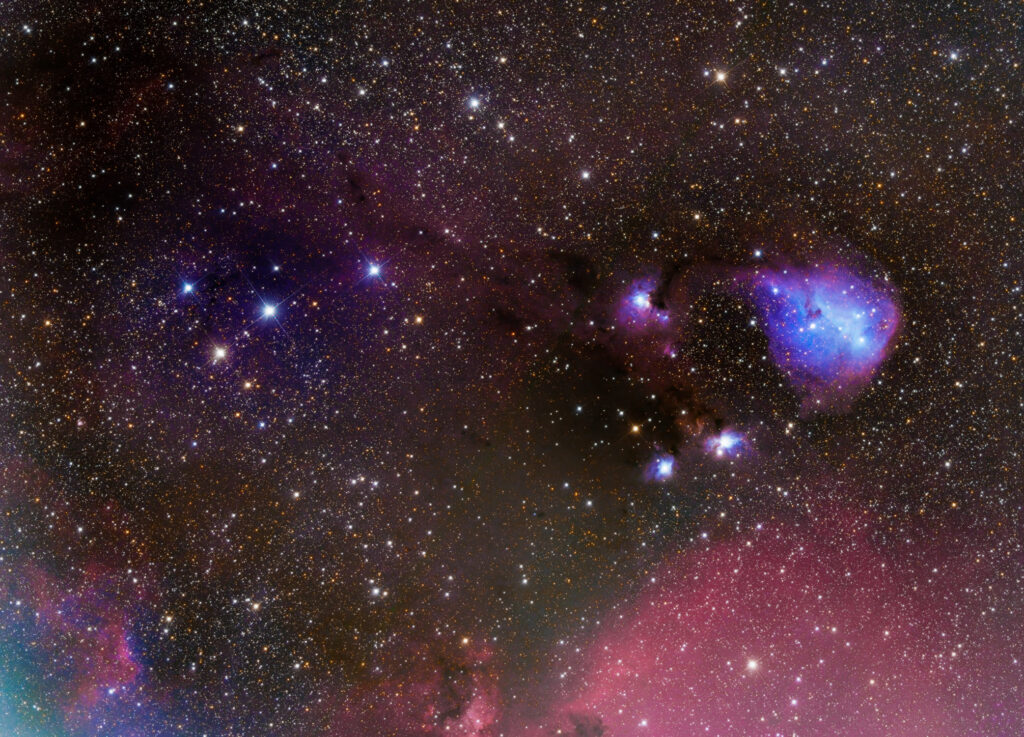 New Newt: Takahashi Epsilon-180ED f8b dreyer