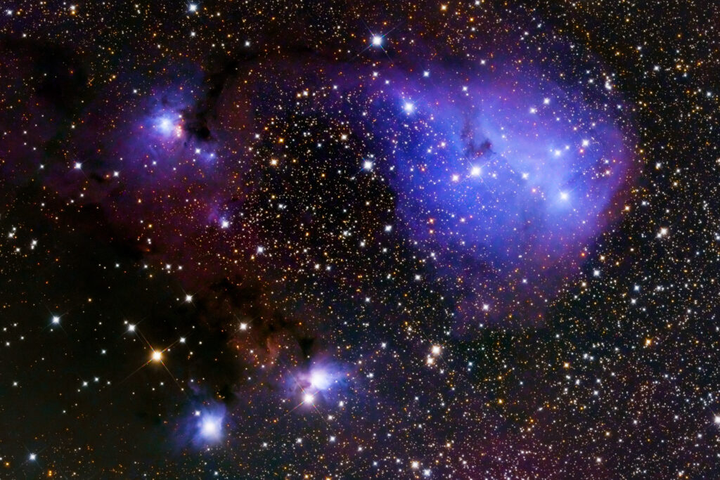 New Newt: Takahashi Epsilon-180ED f9a dreyer