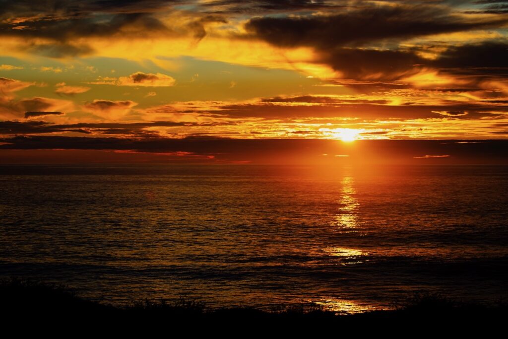 California Dreamin' f10a