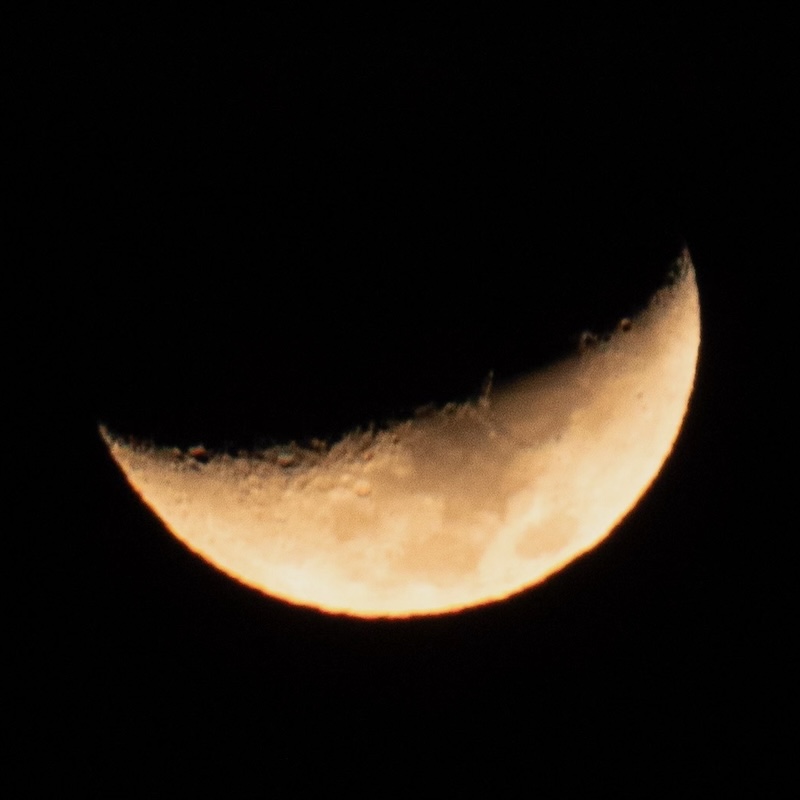 California Dreamin' f15a