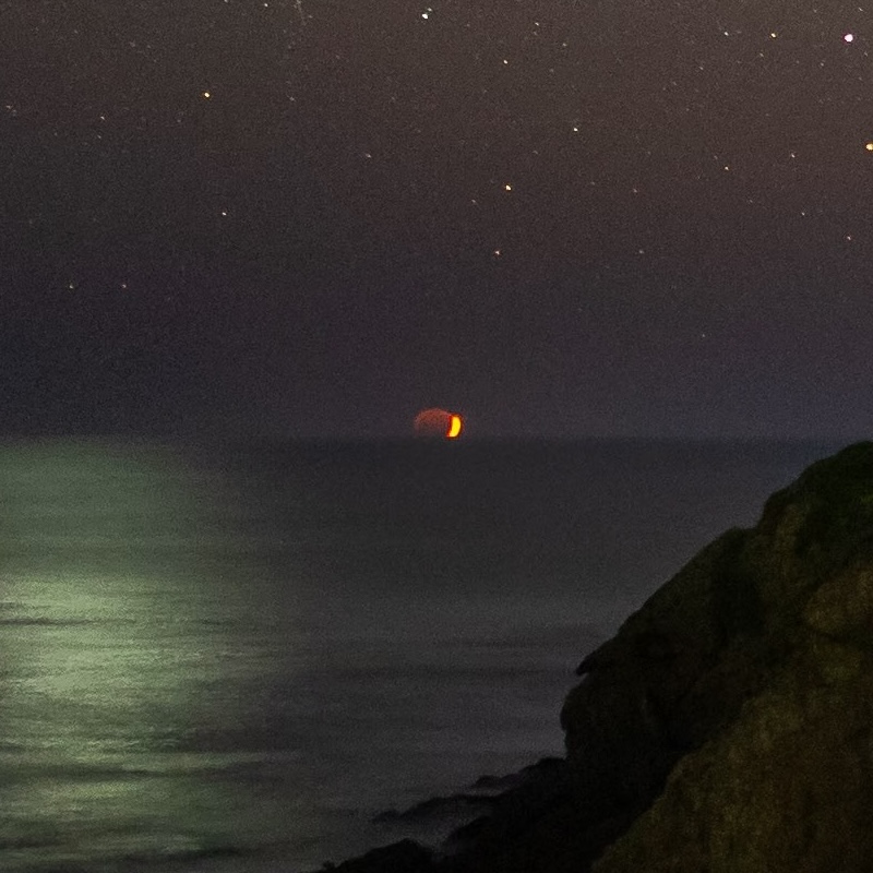 California Dreamin' f15c