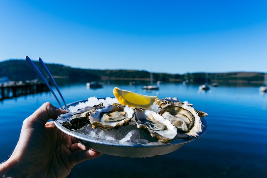 California Dreamin' f17a