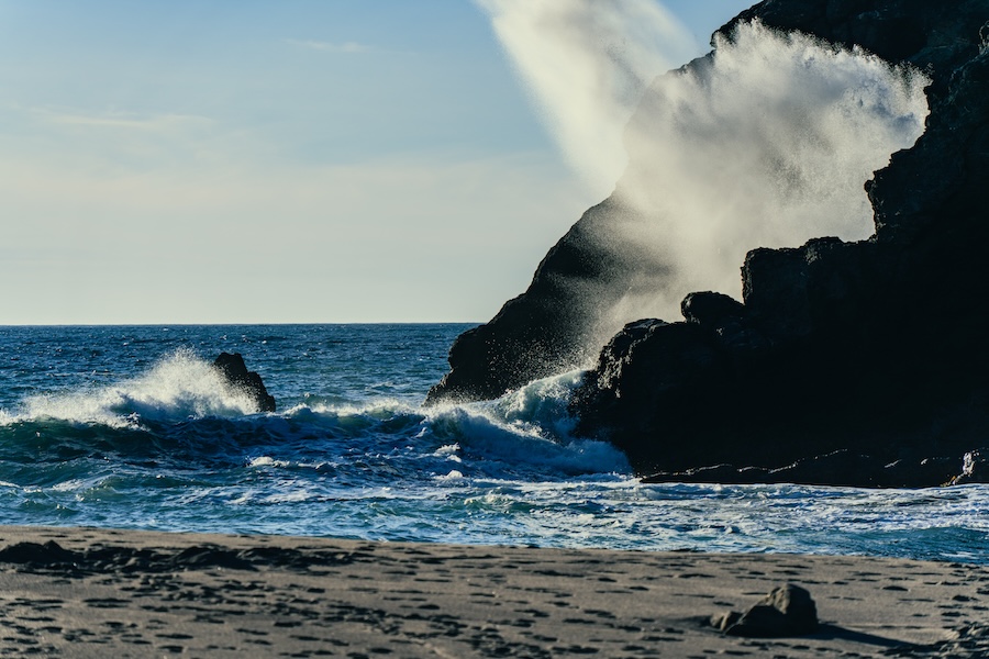 California Dreamin' f17f