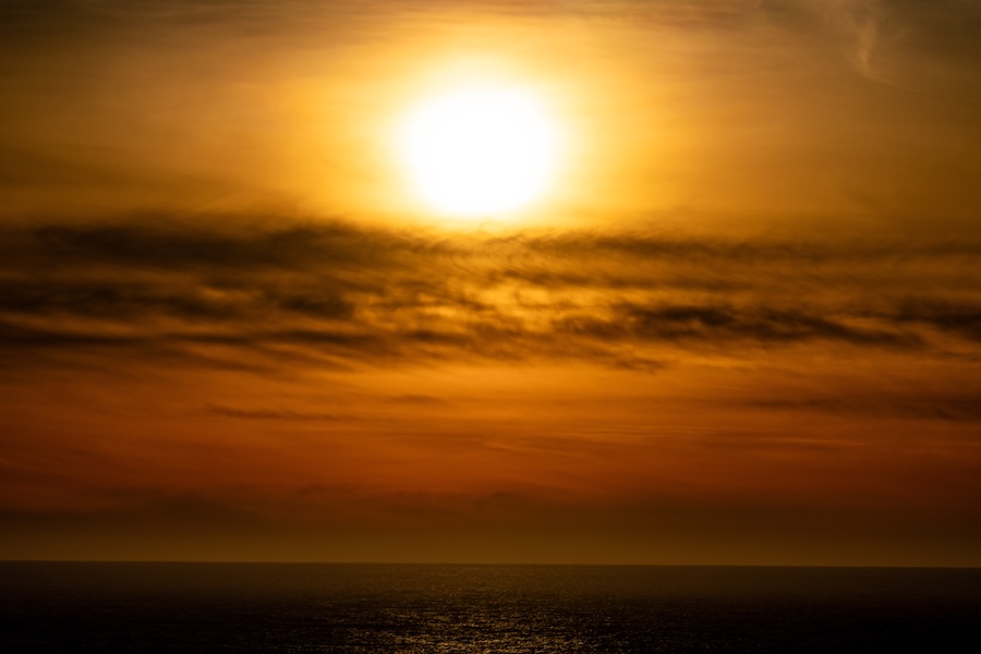 California Dreamin' f17h