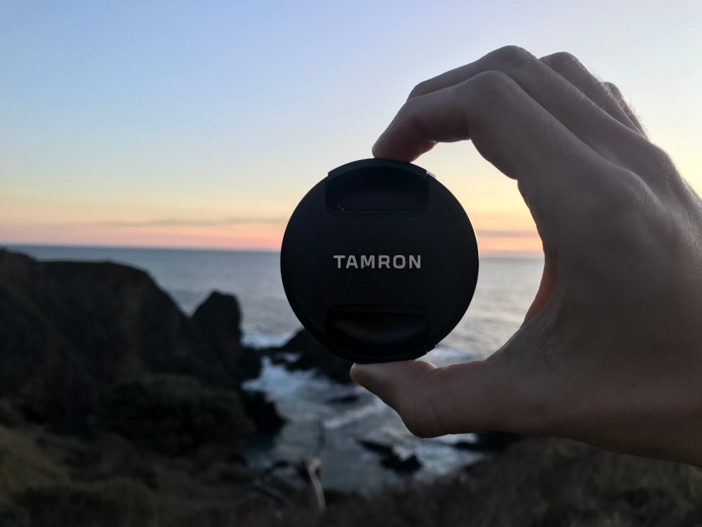 California Dreamin' f19