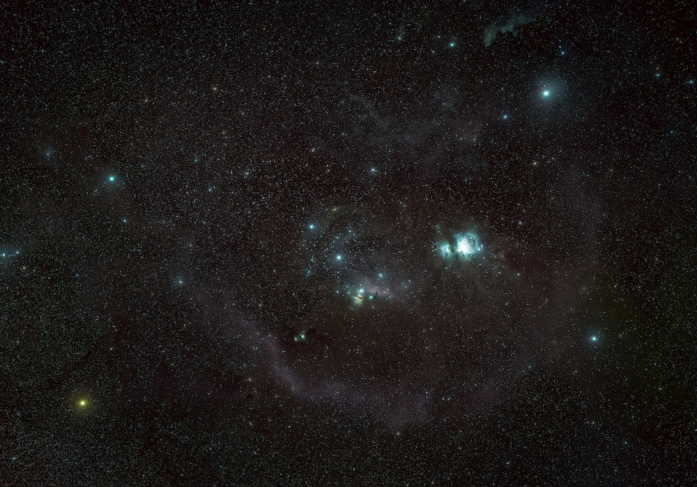 California Dreamin' f20a