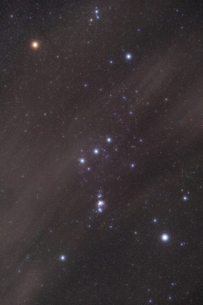 California Dreamin' f20c