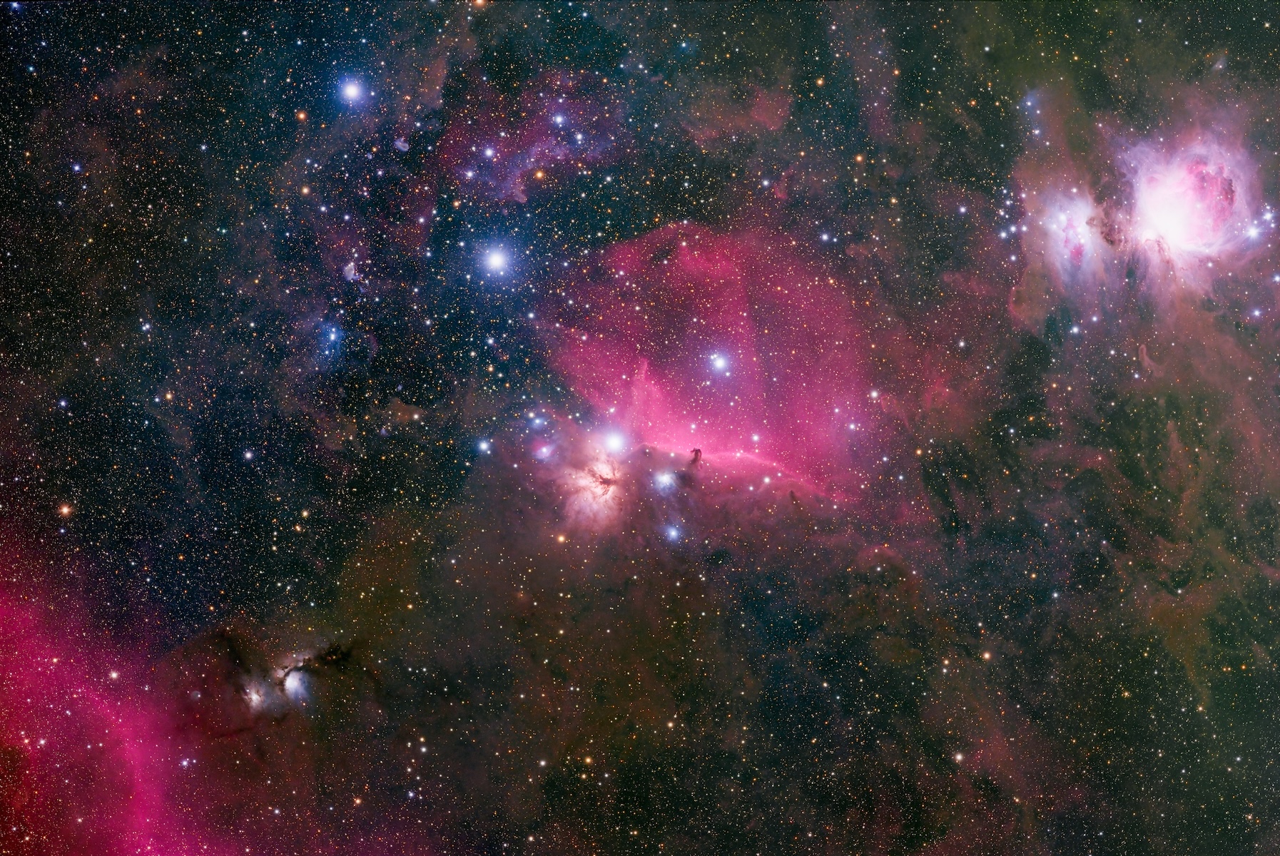 California Dreamin' f23a