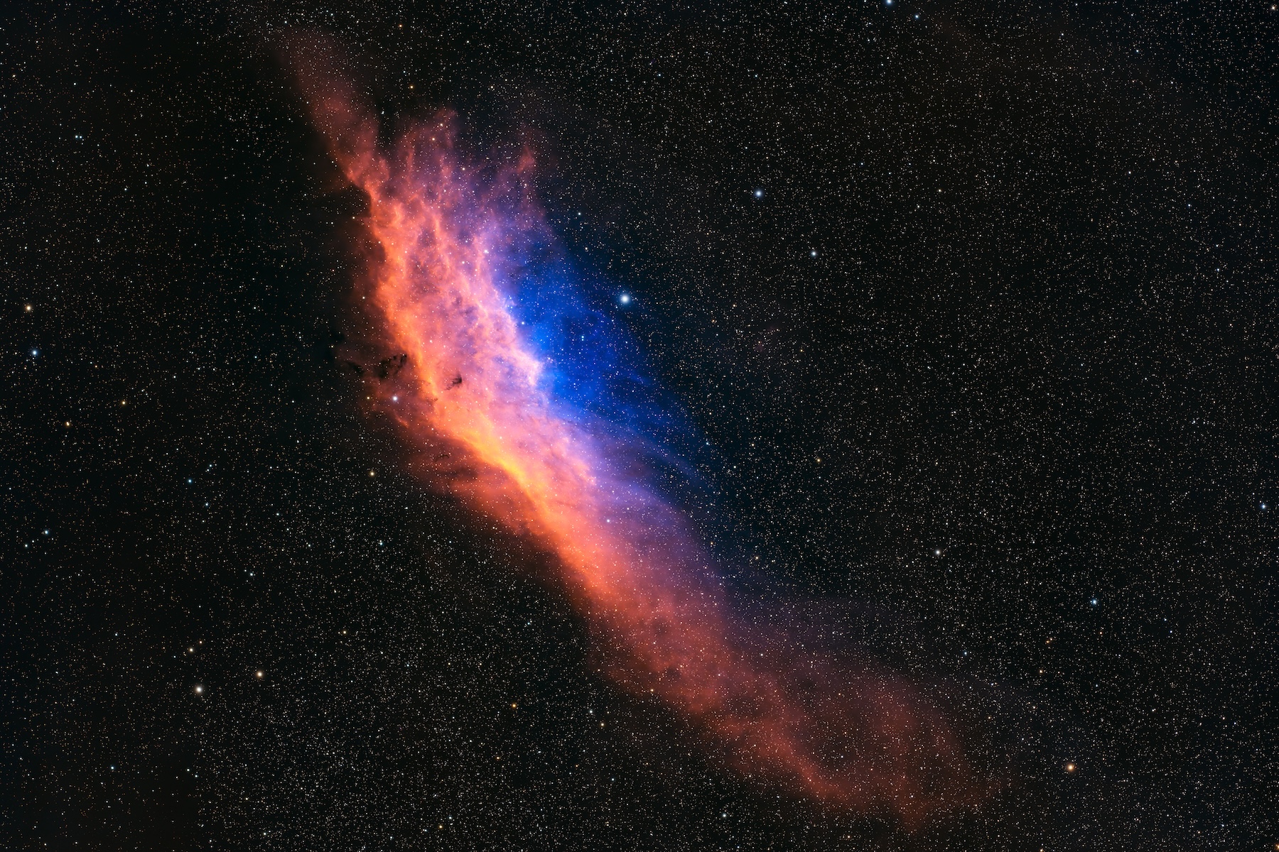 California Dreamin' f24a