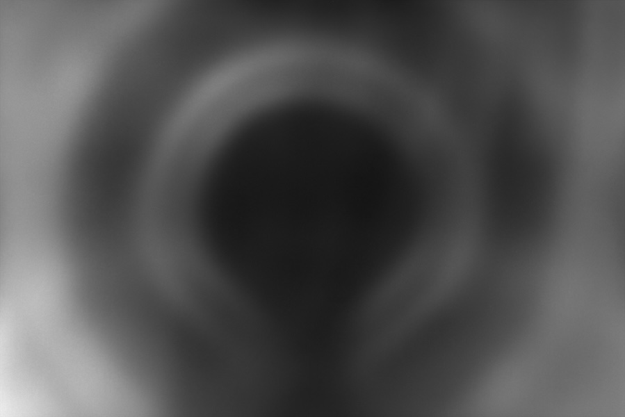 California Dreamin' f26 ha 1