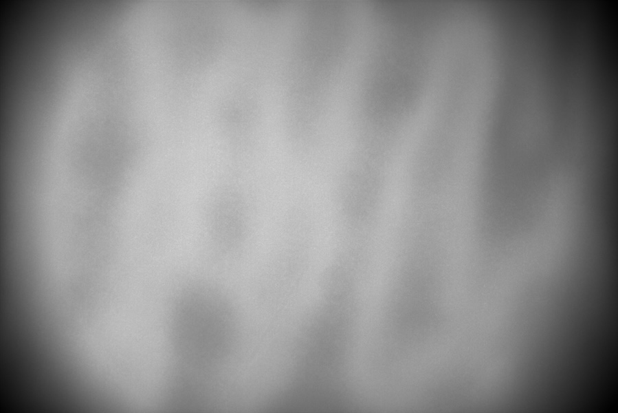 California Dreamin' f26 ha 2