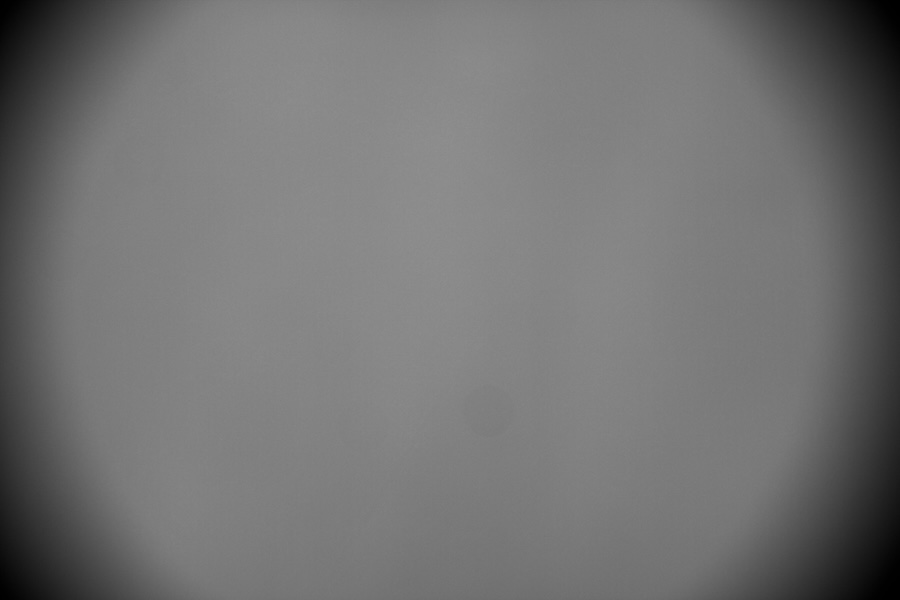 California Dreamin' f26 lum