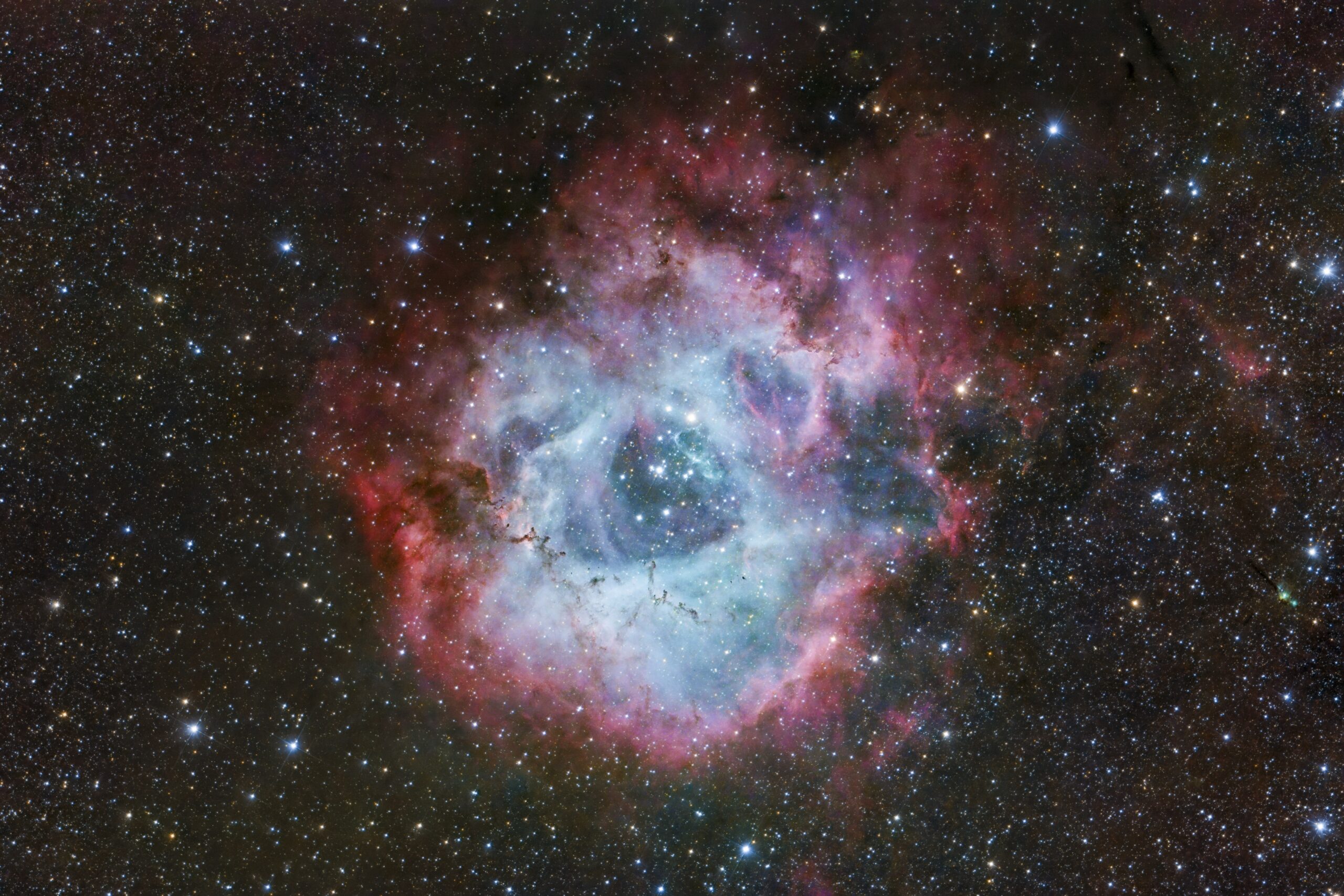 Rosette: Sony vs. Astro Camera
