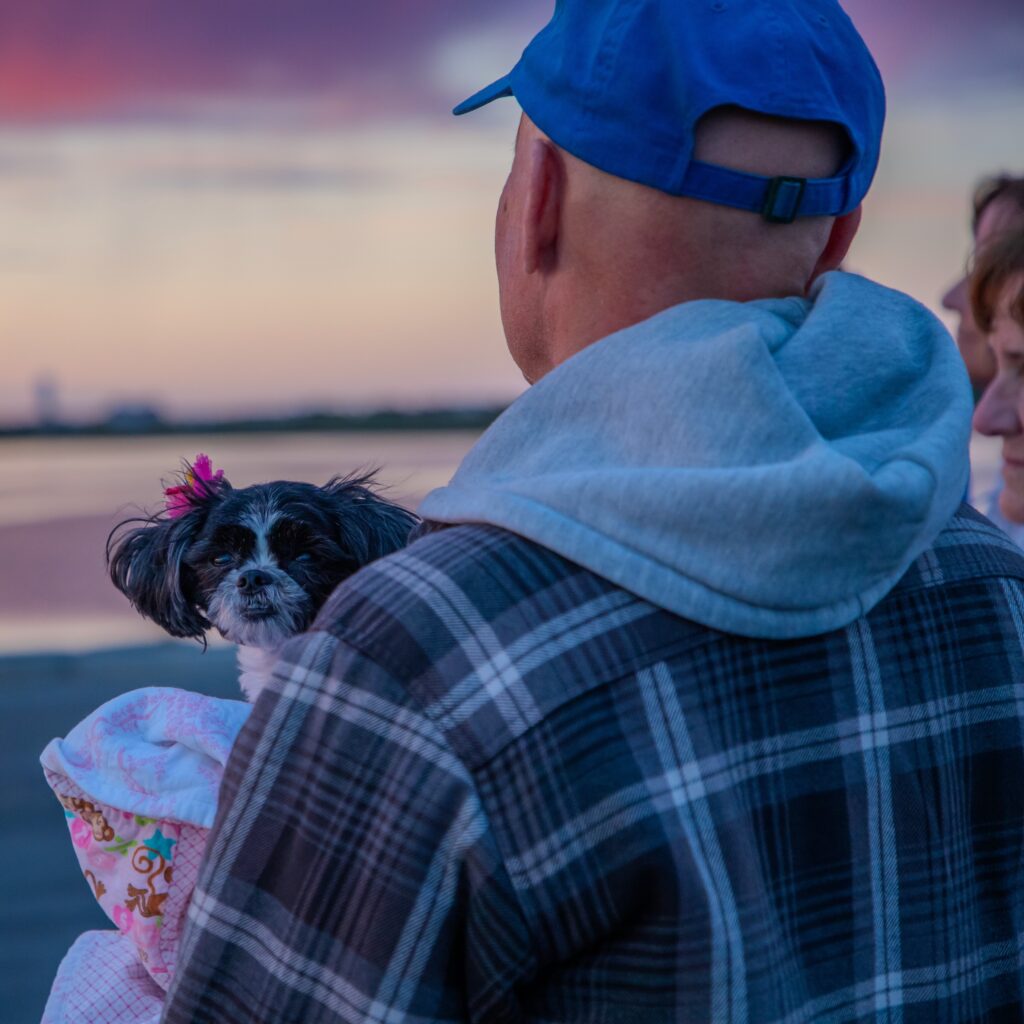 A Year of Astrophotography f1a
