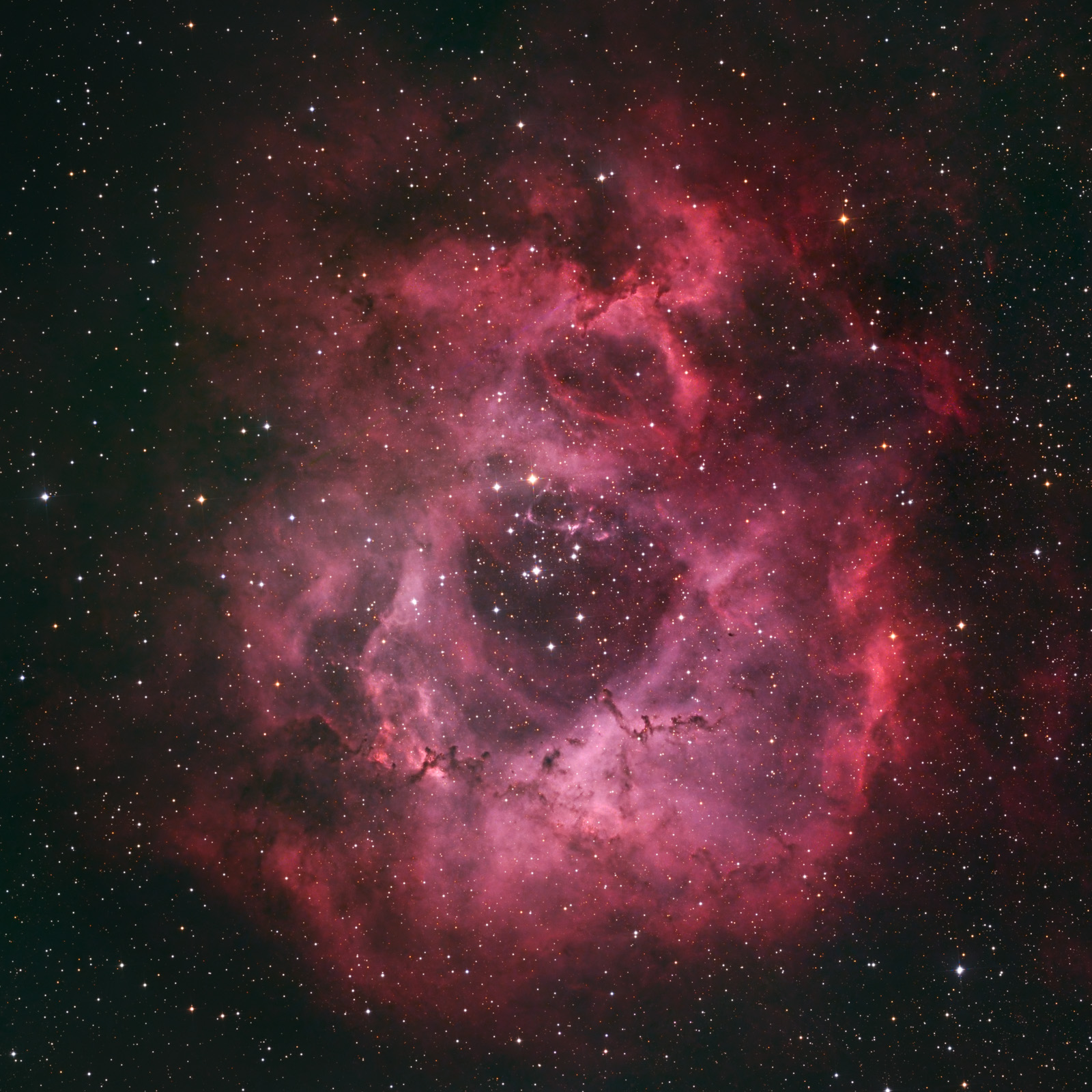 Rosette: Sony vs. Astro Camera f3a