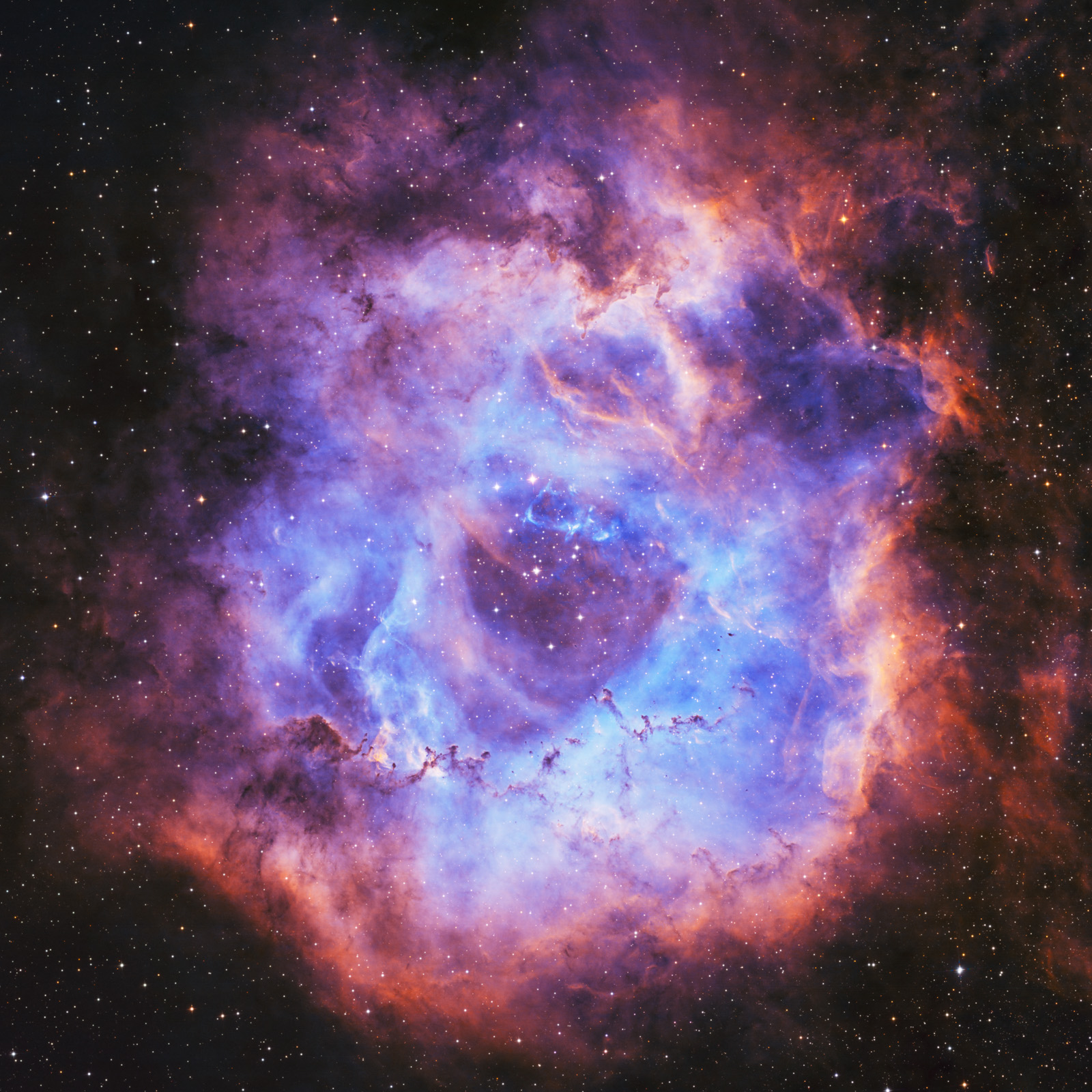 Rosette: Sony vs. Astro Camera f3b