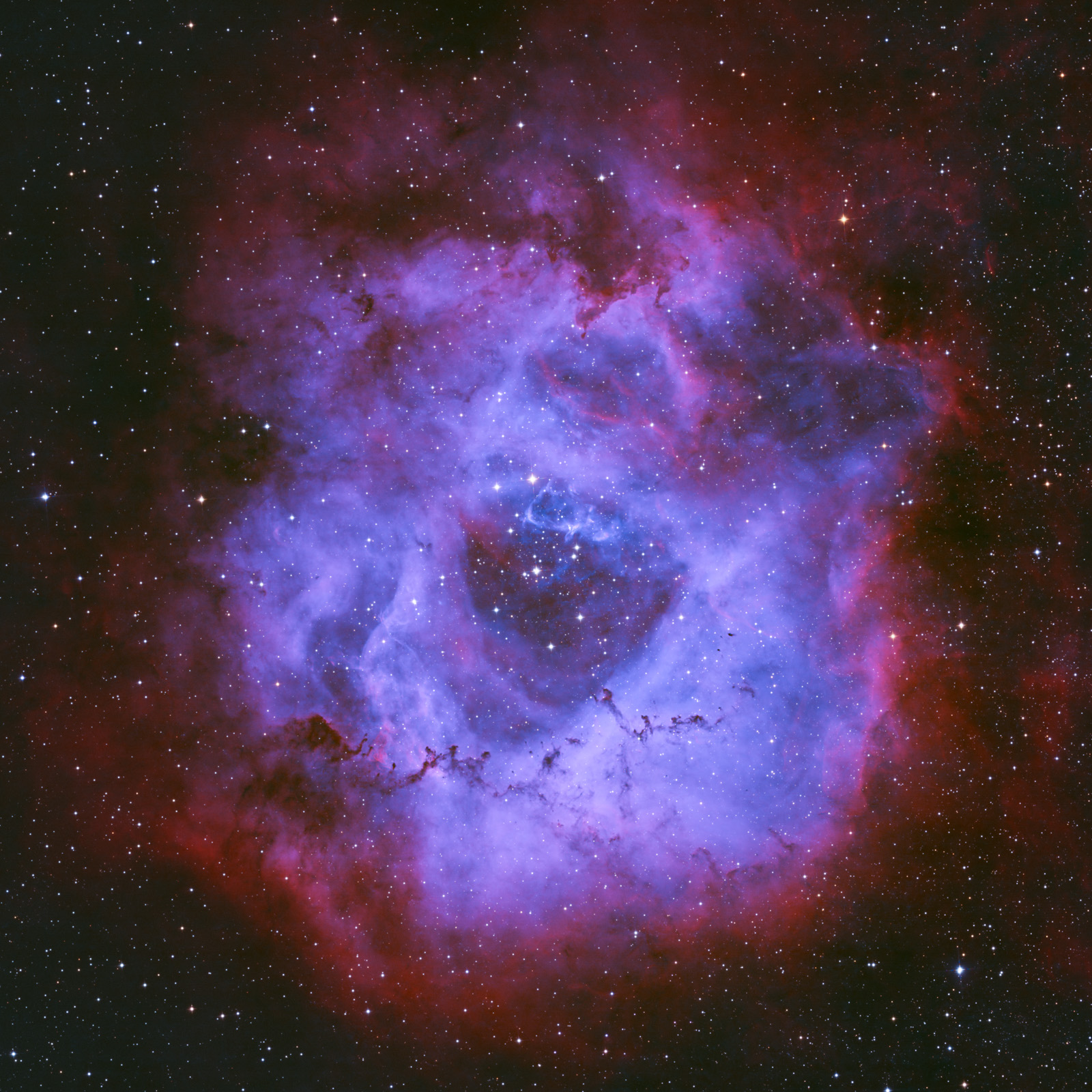 Rosette: Sony vs. Astro Camera f3c