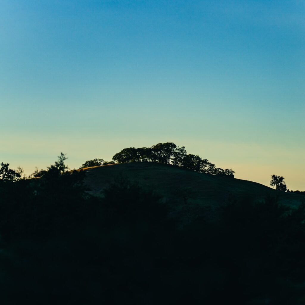 f3c