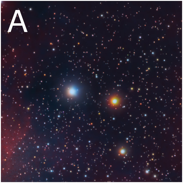 f19a