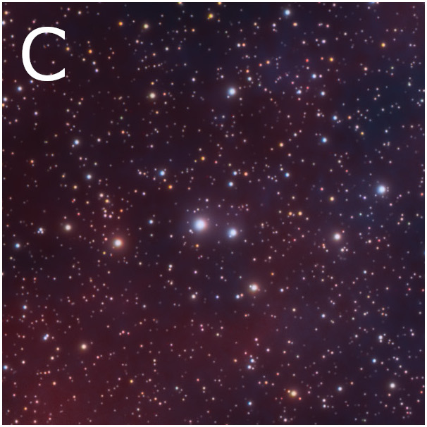 f19c